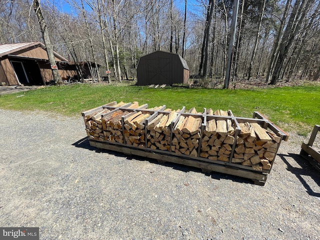 view of yard with a storage shed