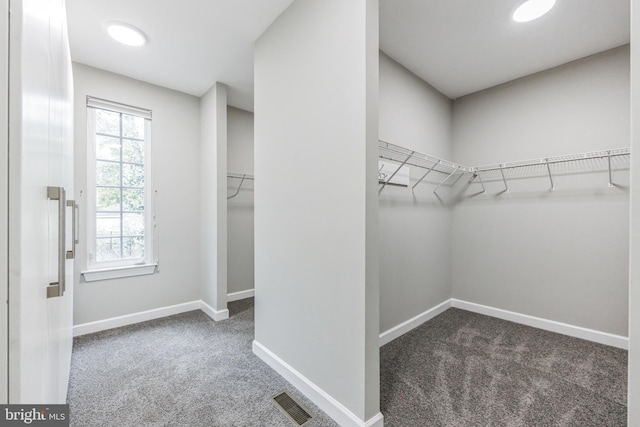 spacious closet with carpet