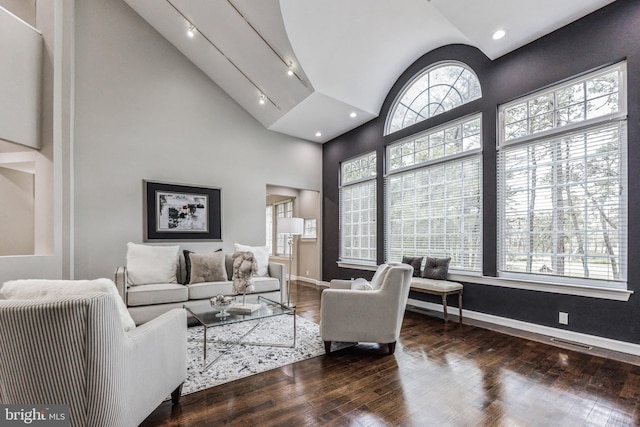 living room featuring high vaulted ceiling, dark wood-type flooring, and track lighting