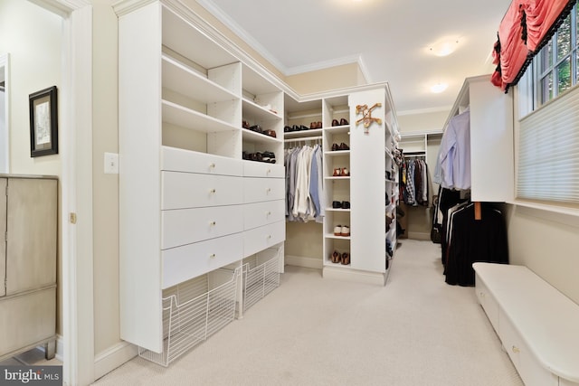 walk in closet with light colored carpet