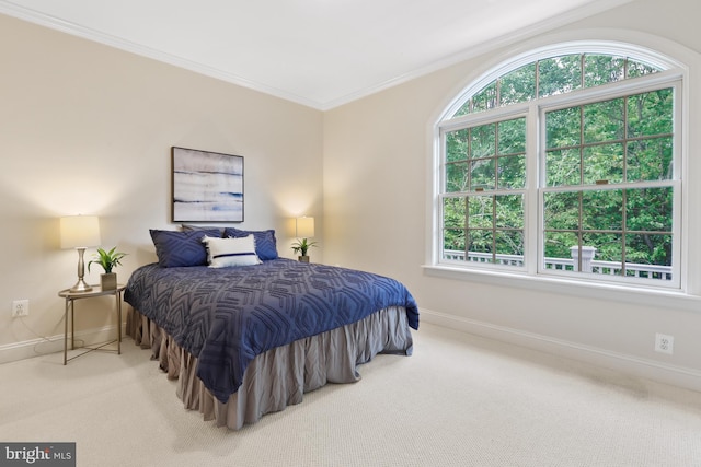 carpeted bedroom with ornamental molding and multiple windows