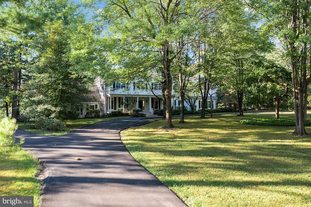 view of front facade with a front yard