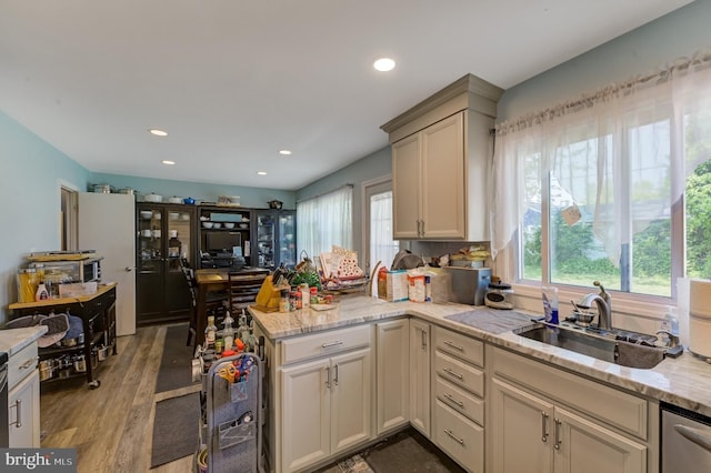 kitchen featuring wood-type flooring, light stone counters, sink, and stainless steel dishwasher