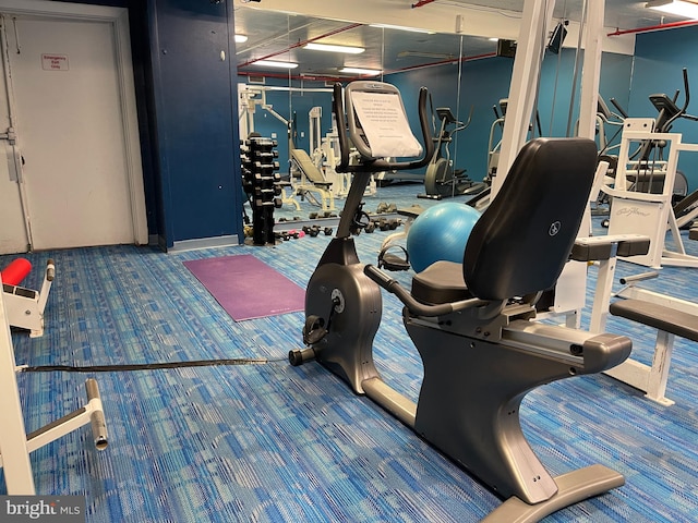 exercise room with carpet floors