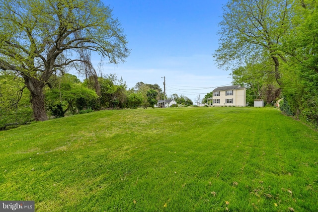 view of yard