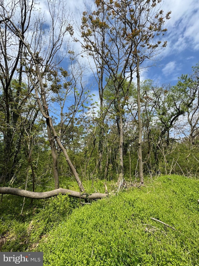 view of nature