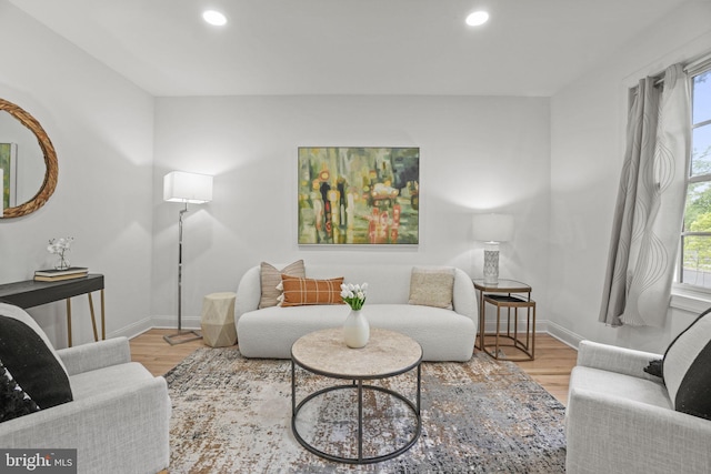 living room featuring hardwood / wood-style flooring