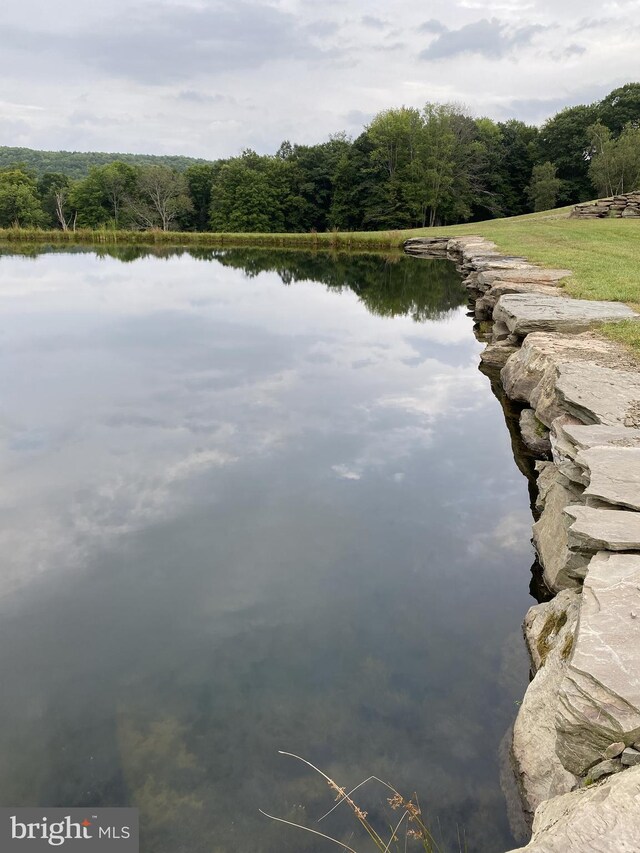 view of water feature