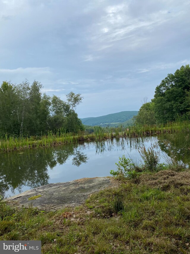 view of water feature