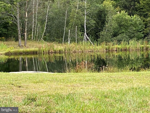 view of local wilderness with a water view