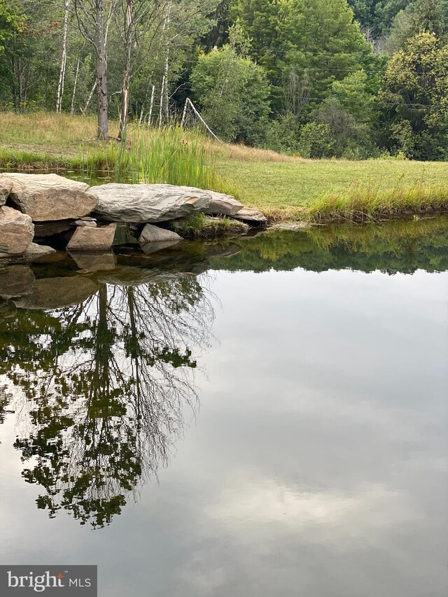 view of water feature