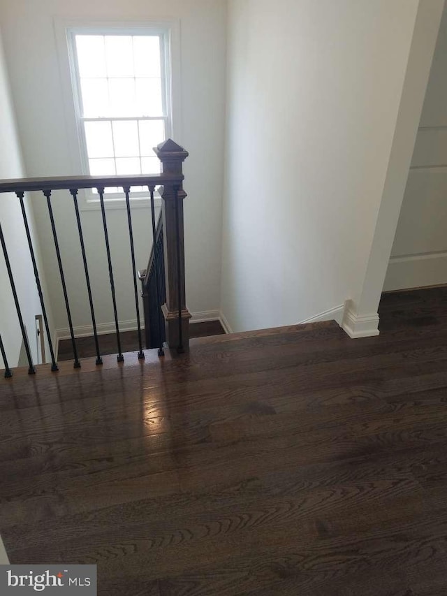 stairway with hardwood / wood-style flooring