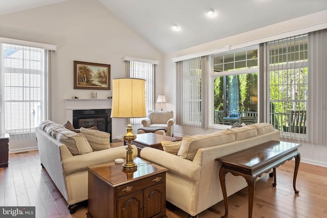 living room with hardwood / wood-style flooring, high vaulted ceiling, and plenty of natural light