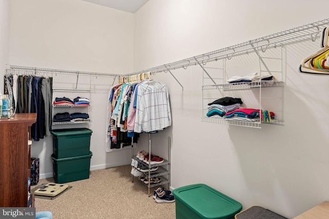 spacious closet with carpet flooring