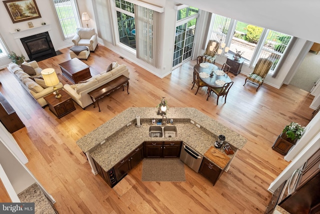 living room featuring light hardwood / wood-style floors and a wealth of natural light