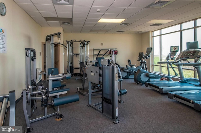 gym featuring a paneled ceiling and carpet floors