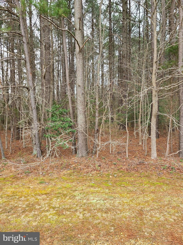 Marie Rd, Newburg MD, 20664 land for sale