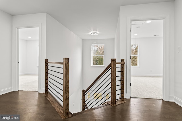 stairs with hardwood / wood-style floors