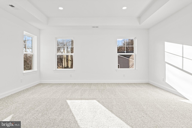 carpeted spare room with a raised ceiling