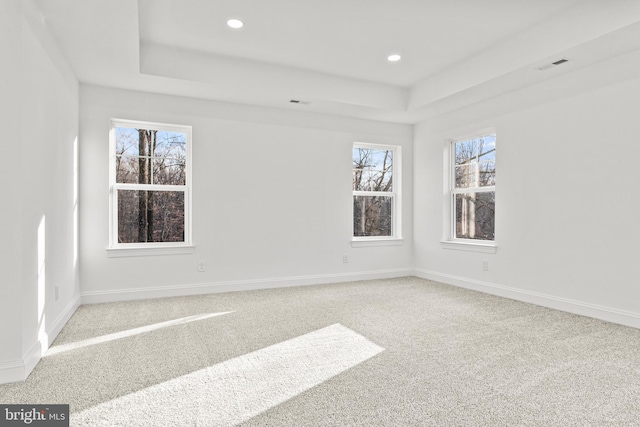 carpeted spare room with a raised ceiling and a healthy amount of sunlight