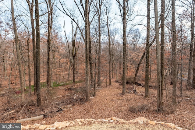 view of landscape