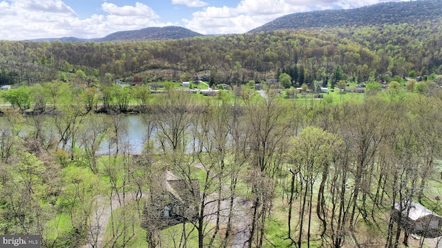 bird's eye view featuring a water and mountain view