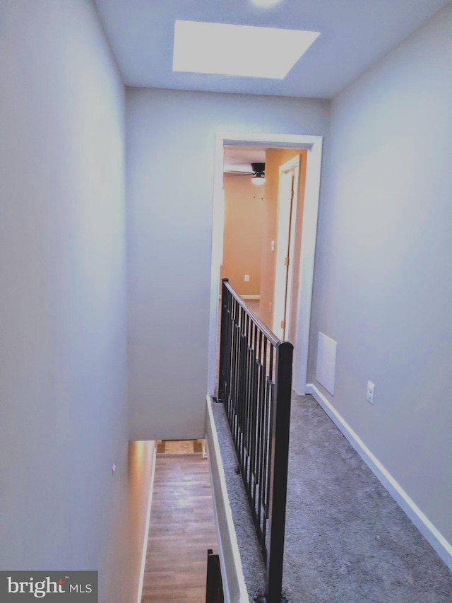 stairway featuring carpet and a skylight