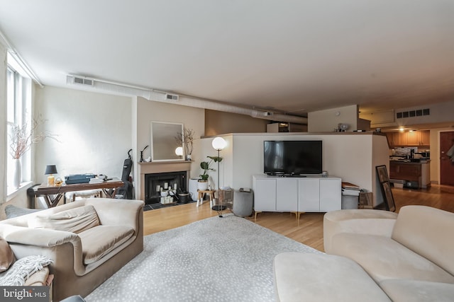 living room featuring a healthy amount of sunlight and light wood-type flooring