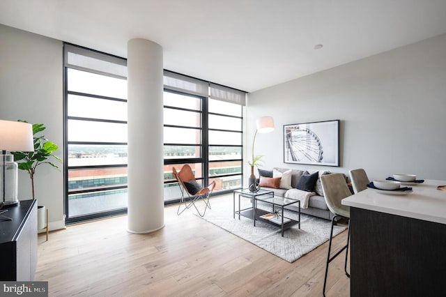 living room featuring light hardwood / wood-style flooring and floor to ceiling windows