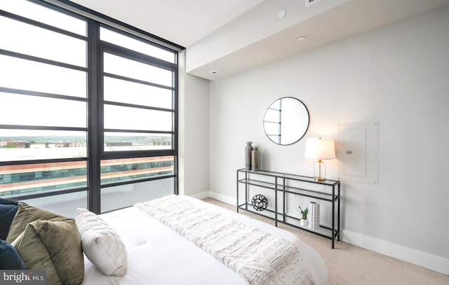 bedroom with light carpet and electric panel