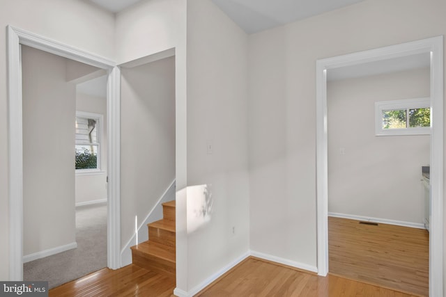 stairs featuring light hardwood / wood-style floors