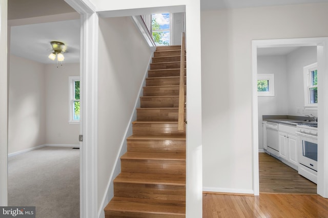 stairway featuring light colored carpet, sink, and ceiling fan