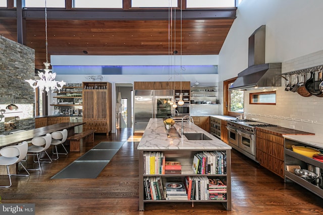 kitchen with high vaulted ceiling, high quality appliances, sink, and extractor fan