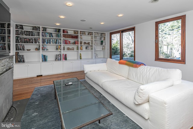 living room featuring hardwood / wood-style flooring