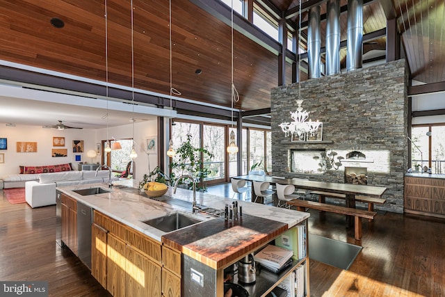 kitchen with stainless steel dishwasher, sink, ceiling fan with notable chandelier, and dark hardwood / wood-style floors