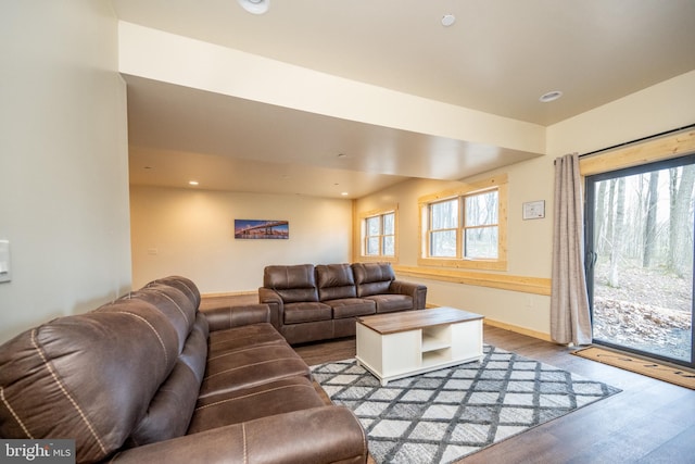 living room featuring wood-type flooring