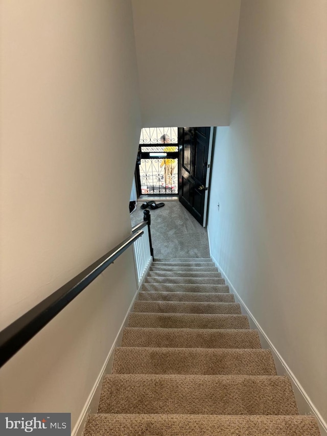 stairway with carpet flooring