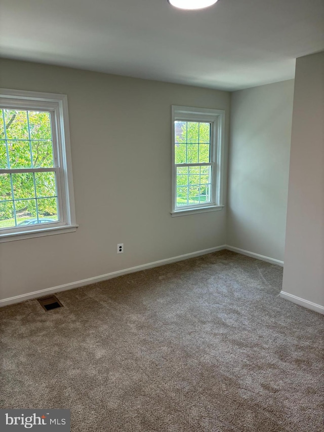 carpeted spare room featuring a healthy amount of sunlight