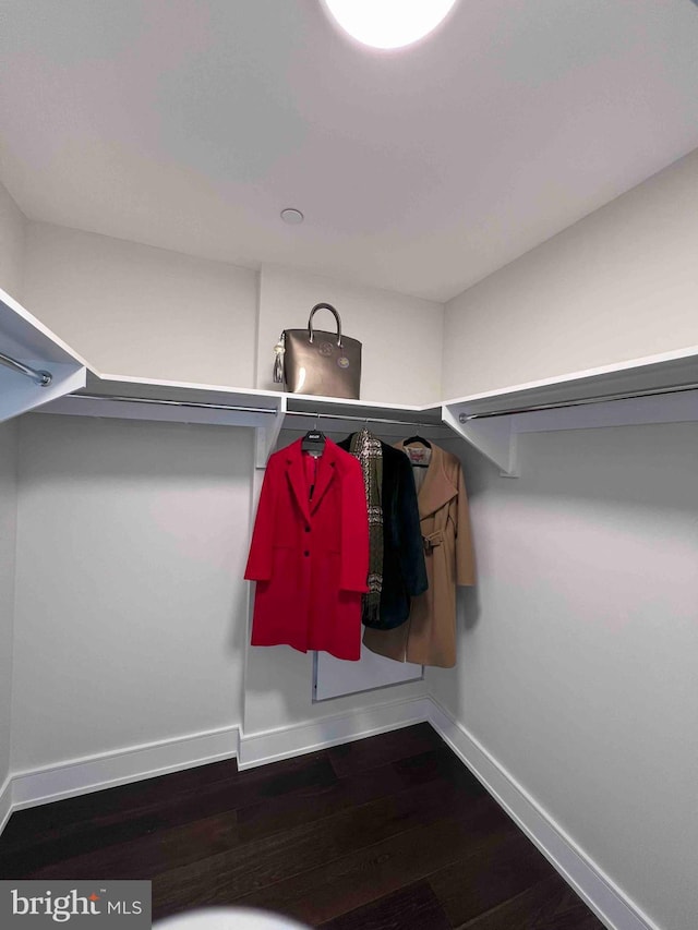 spacious closet featuring hardwood / wood-style floors