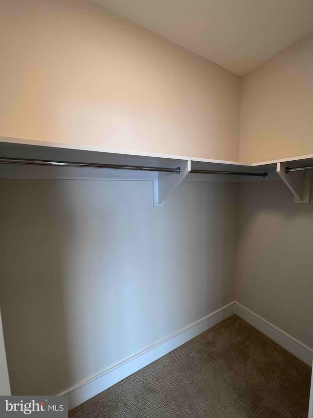 walk in closet with dark carpet