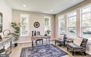 sitting room featuring light wood-type flooring