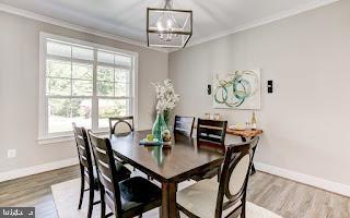 dining space featuring light wood-type flooring, an inviting chandelier, a wealth of natural light, and ornamental molding