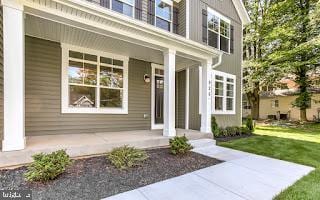 doorway to property with a porch and a yard