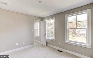 carpeted spare room featuring a wealth of natural light