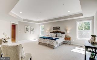 bedroom featuring a tray ceiling and carpet flooring