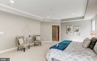 bedroom with carpet flooring and a tray ceiling