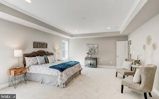 bedroom with a raised ceiling, light carpet, and ornamental molding