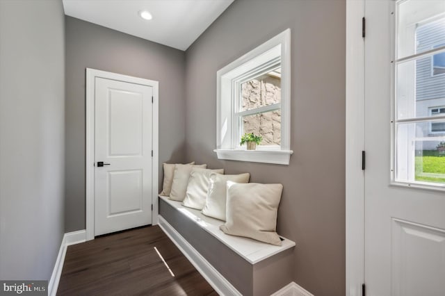 mudroom with dark hardwood / wood-style flooring