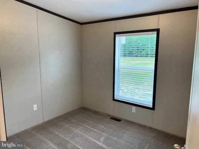 carpeted spare room featuring crown molding