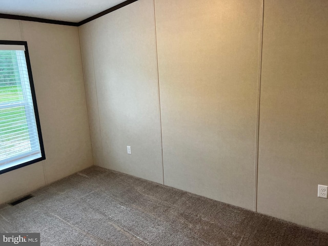 carpeted empty room with a wealth of natural light and ornamental molding